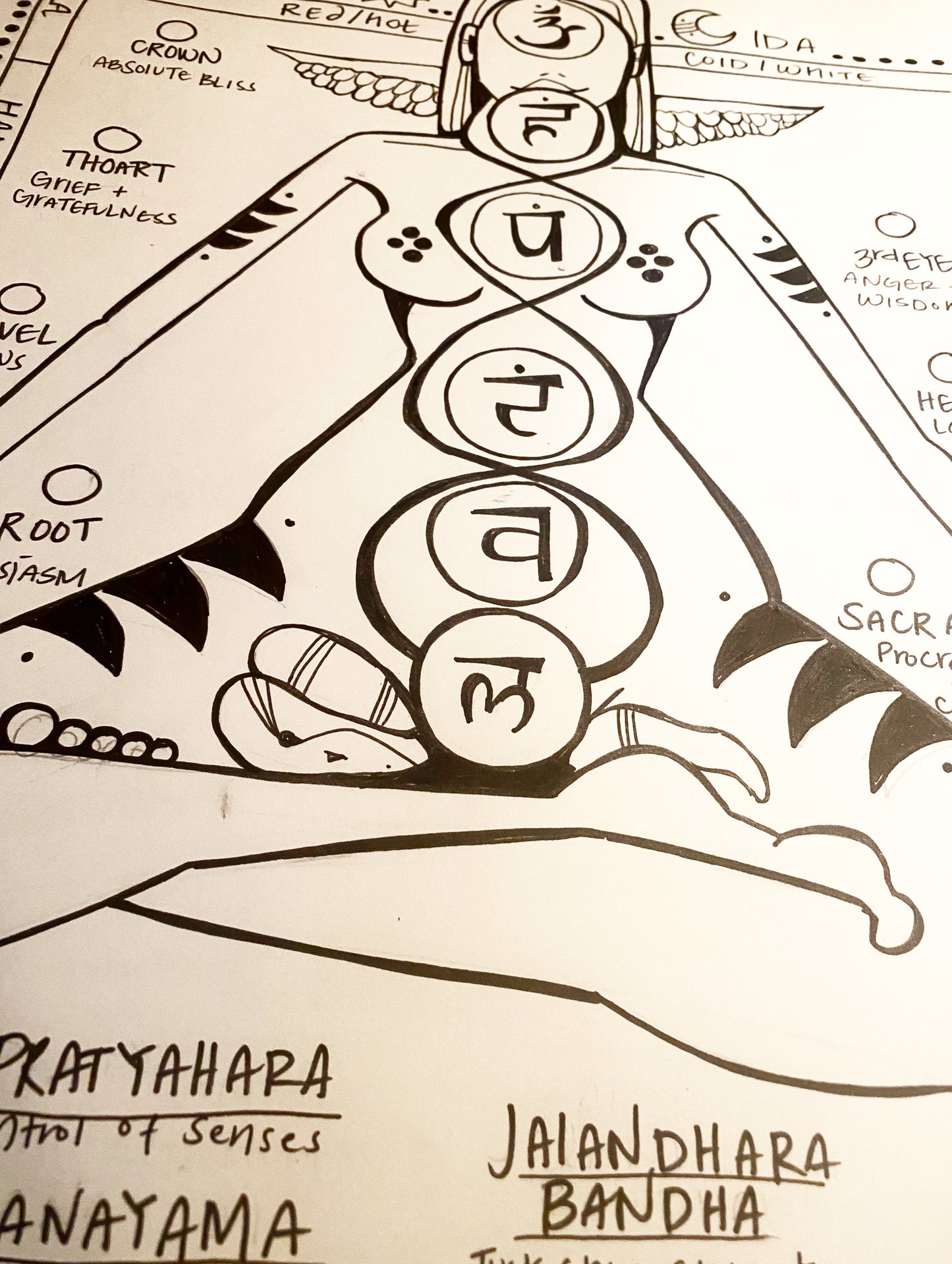 ASTROLOGY READING